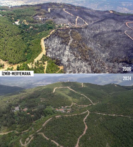 CHP ve AK Partili Meclis Üyeleri yanan orman yerlerinde buluştu