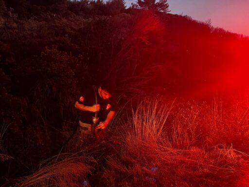 Urla yangını kontrol altına alındı