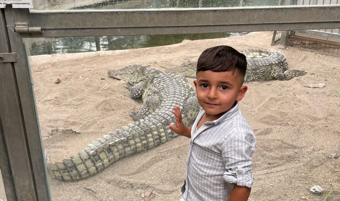 Ödemiş'teki yangında evlerini kaybedenler için umut ışığı yandı. İzmir Büyükşehir