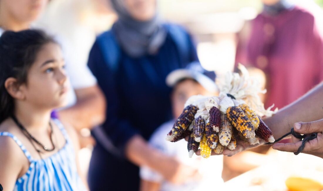Tohumdan Sofraya, Sofradan Tohuma: İzmir Büyükşehir’den Çocuklara Atalık Tohum ve Toprak Bilinci Eğitimi İzmir Büyükşehir Belediyesi’nin