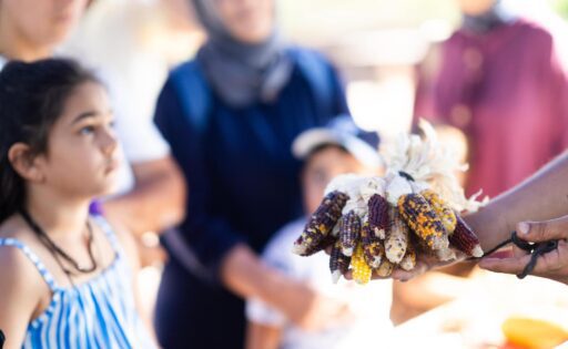 İzmir Büyükşehir Belediyesi’nin 