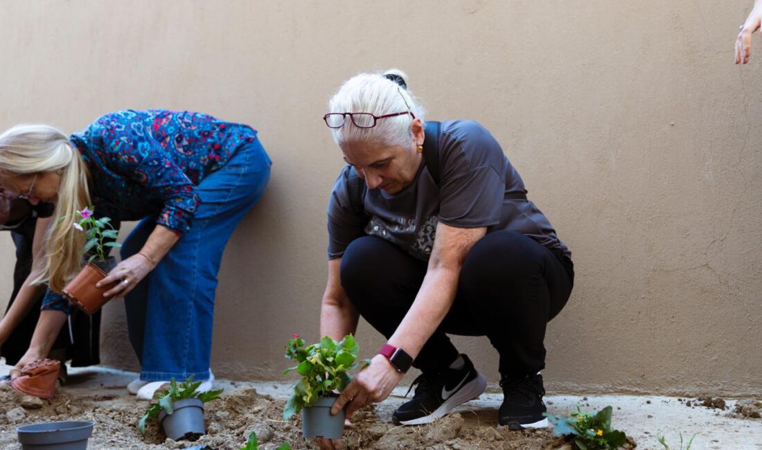 Balçova’da Duygusal Anlar: Unutulmaz Anılar Çiçeklerle Yaşatıldı Balçova Belediyesi, Dünya Alzheimer Günü'nde anlamlı ve duygusal bir etkinliğe