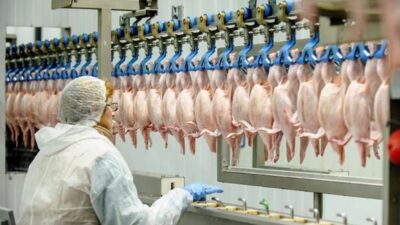 Rekabet Kurulu, beyaz et sektöründe yürüttüğü soruşturmayı tamamlayarak 13 firmaya