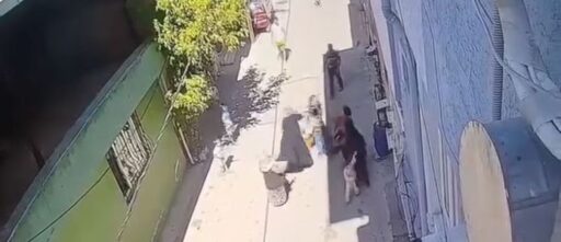 Bursa'da 3 Kadın, Kucağındaki Çocukla Anneyi Darp Etti