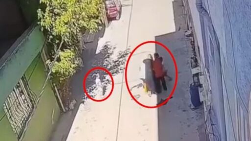 Bursa'nın Yıldırım ilçesinde, kucağında çocuğu olan bir anne, sokakta tartıştığı