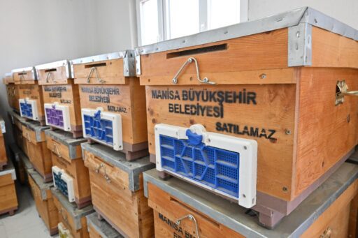 Manisa Büyükşehir Belediyesi'nden Kırkağaçlı Kadınlara Arıcılık Desteği