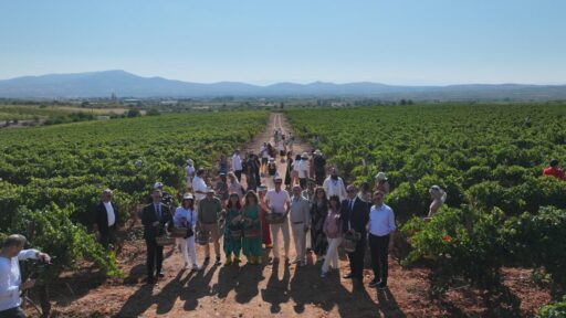 Çal Bağbozumu Festivali’nde kültür, sanat ve bağcılık bir arada