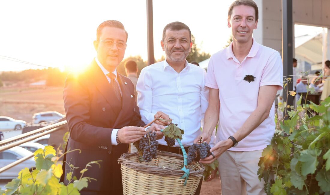 Çal Bağbozumu Festivali’nde kültür, sanat ve bağcılık bir arada 28. Çal Bağbozumu 1. Uluslararası Kültür ve Sanat Festivali’nin ikinci