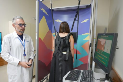 Yapay zeka destekli robotik manevra sandalyesi (RMS), denge bozuklukları ve