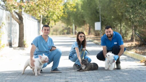 İzmir'de Terk Edilmiş 20 Köpek Sahipsiz Kalmadı