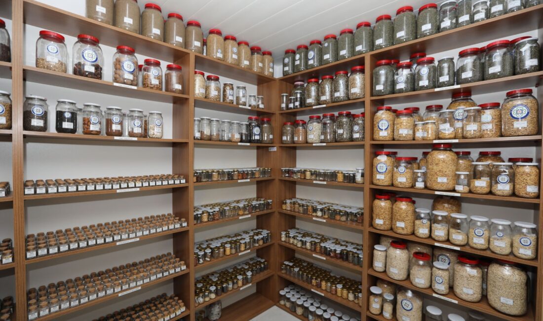 Muğla Büyükşehir Belediyesi, 