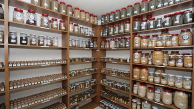 Muğla Büyükşehir Belediyesi, "Yerel Tohum Ulusal Güç" sloganıyla yürüttüğü projede,