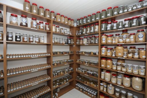 Muğla Büyükşehir Belediyesi, 