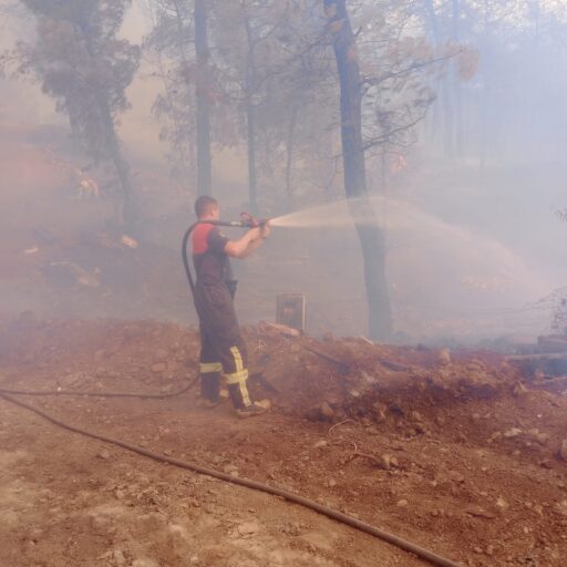 Muğla Büyükşehir İtfaiyesi, Milas ve Köyceğiz Yangınlarında Seferber Oldu