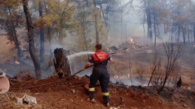 Muğla Büyükşehir Belediyesi İtfaiye ekipleri, Milas ve Köyceğiz ilçelerindeki orman