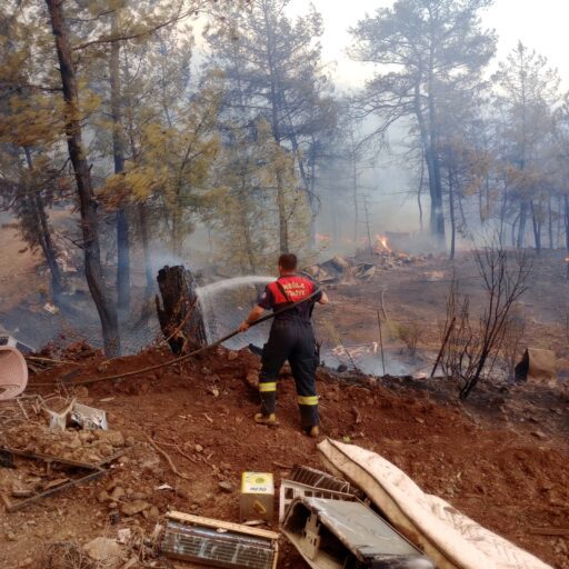 Muğla Büyükşehir Belediyesi İtfaiye ekipleri, Milas ve Köyceğiz ilçelerindeki orman