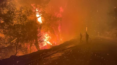Muğla'nın Köyceğiz ve Milas ilçelerinde gece yarısı başlayan orman yangını,