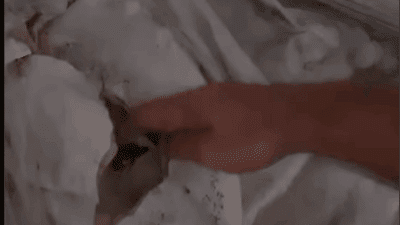 İzmir'in gıda devinin depolarında ortaya çıkan skandal, ileri tarihli UHT