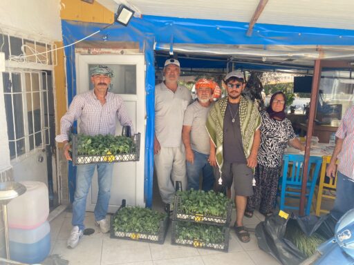 Urla Belediyesi kırsal mahallelerde üretimi güçlendirmek ve alternatif ürün desenini