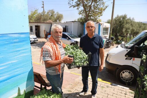 Urla Belediyesi’nden üreticiye 50 bin adet sebze fidesi
