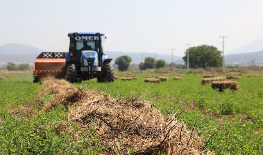 Muğla Büyükşehir’den Hayvancılığa Can Suyu: Yem Maliyetlerini Düşürmek İçin Ücretsiz Tohum Desteği Muğla Büyükşehir Belediyesi, yem maliyetlerini düşürmek için üreticilere Tritikale, Arpa