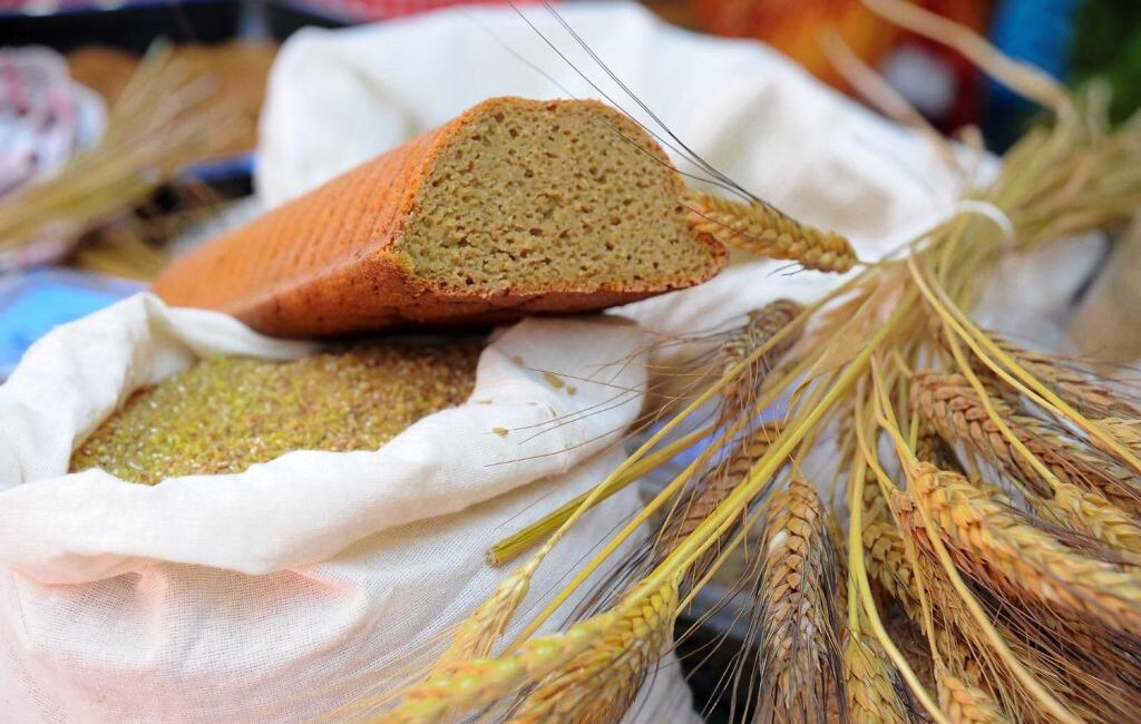 Seferihisar’da Ata Ekmeği ve Armola Şenliği: Karakılçık Rotası Lansmanı ile Yerel Üretime Destek Artıyor Seferihisar’ın Ulamış Köyü, 27 Eylül Cumartesi günü 8. Ata Ekmeği