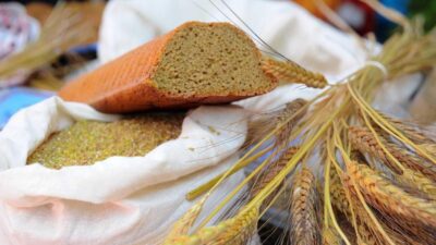 Seferihisar’ın Ulamış Köyü, 27 Eylül Cumartesi günü 8. Ata Ekmeği