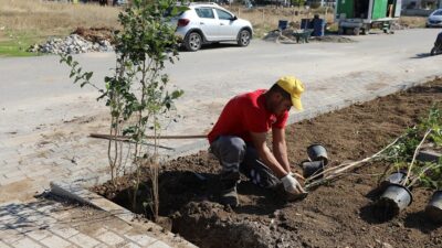Menderes Belediyesi’nin can dostlar için tasarladığı 1900 metrekarelik Pati Park