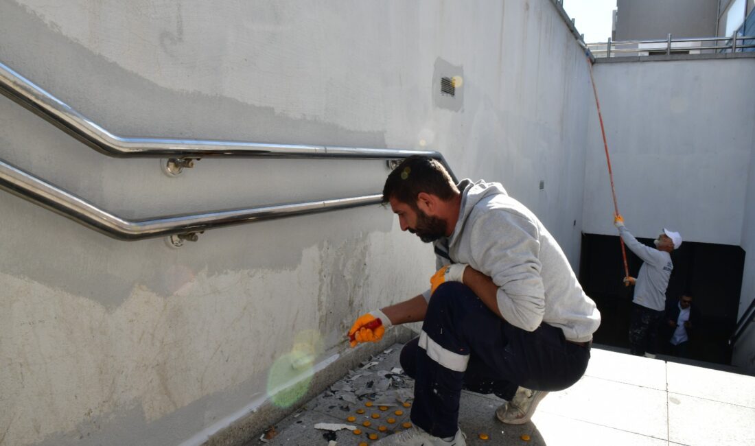 Çiğli Belediyesi, sonbahar rüzgarlarının yarattığı kırılma riskine karşı ağaç budama