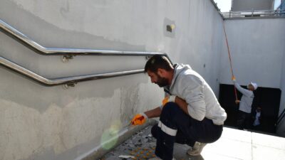 Çiğli Belediyesi, sonbahar rüzgarlarının yarattığı kırılma riskine karşı ağaç budama