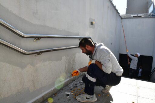 Çiğli Belediyesi, sonbahar rüzgarlarının yarattığı kırılma riskine karşı ağaç budama