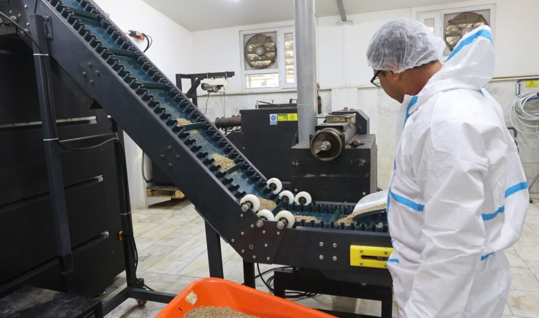 Muğla Büyükşehir Belediyesi, Türkiye’nin ilk ruhsatlı kedi-köpek maması üretim tesisinde