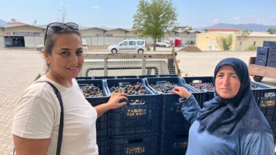 Muğla Büyükşehir Belediyesi, kadın kooperatiflerini ve yerel üreticileri destekleyen projeleriyle