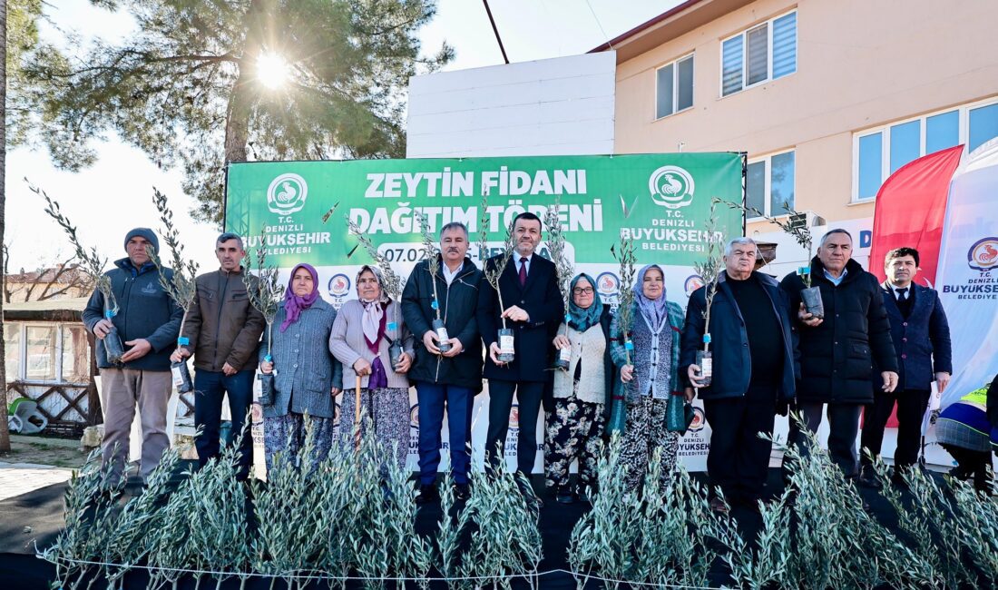 Denizli Büyükşehir Belediyesi, 12 ilçede çiftçilere 100.000 adet yüksek verimli