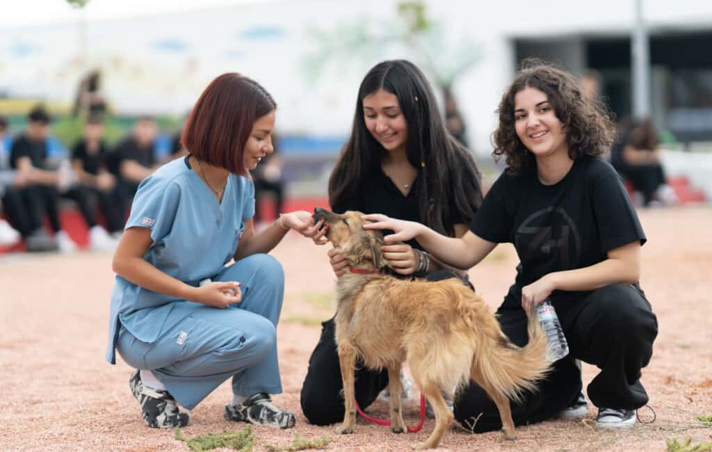 Hayvanları Koruma Günü’nde Öğrencilerden Şiddete Tepki: “Sahipsiz Hayvanlara Kötü Muamele Son Bulsun!” 4 Ekim Dünya Hayvanları Koruma Günü dolayısıyla İzmir Büyükşehir Belediyesi,