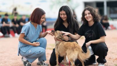 4 Ekim Dünya Hayvanları Koruma Günü dolayısıyla İzmir Büyükşehir Belediyesi,