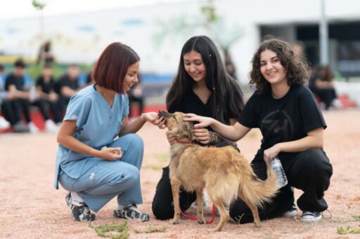 4 Ekim Dünya Hayvanları Koruma Günü dolayısıyla İzmir Büyükşehir Belediyesi,
