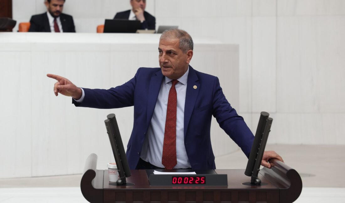 İYİ Parti İzmir Milletvekili Hüsmen Kırkpınar, TBMM'de yaptığı konuşmada hükümetin