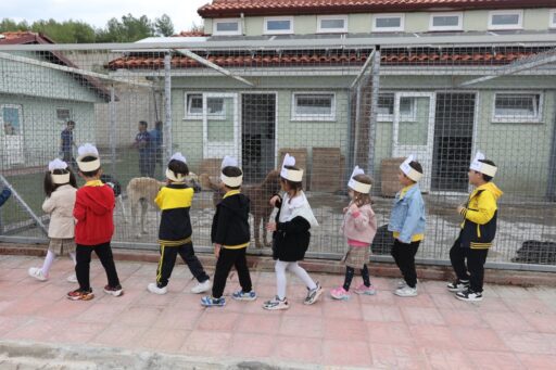 Muğla Büyükşehir’den Anlamlı Etkinlik Minik Yürekler Türkiye’nin En Donanımlı Bakımevi'nde Can Dostlarla Buluştu