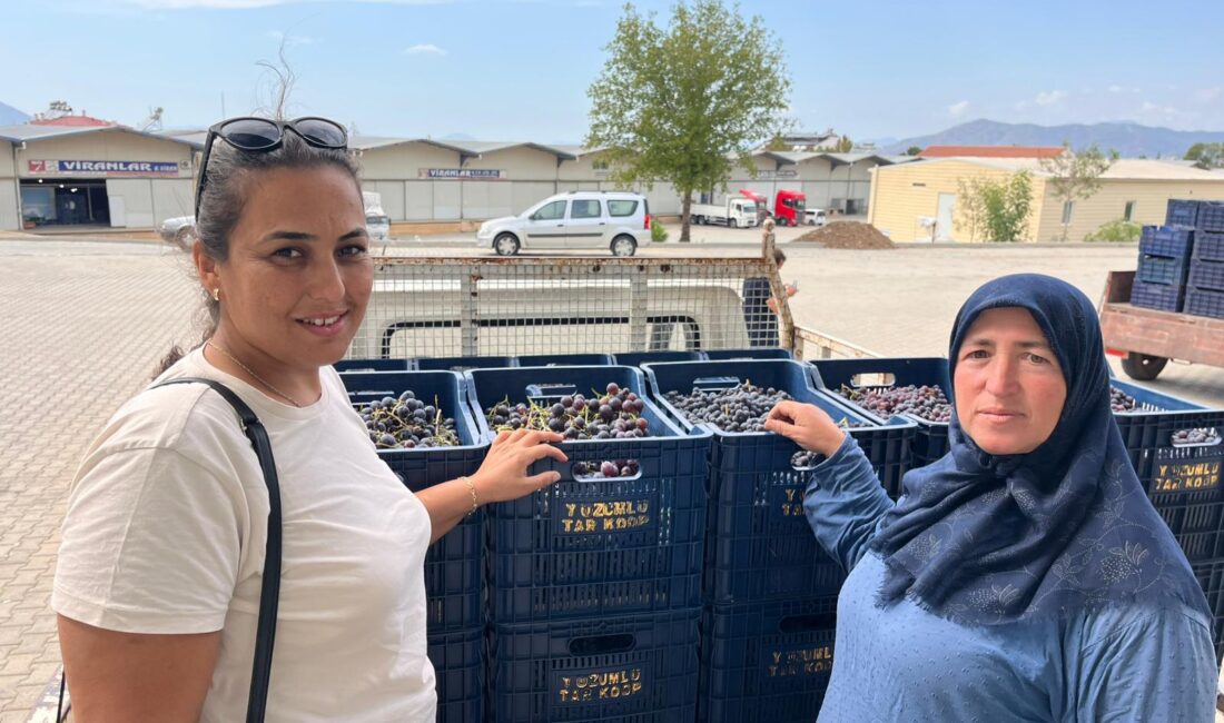 Muğla Büyükşehir Belediyesi ve Yeşilüzümlü Kooperatifi, 10 milyon TL'lik yatırımla