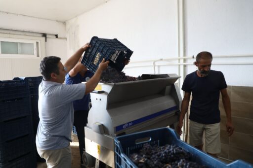 Muğla Büyükşehir’den Bağcılığa 10 Milyonluk Modern Dokunuş