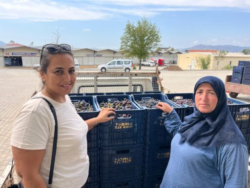 Muğla Büyükşehir Belediyesi ve Yeşilüzümlü Kooperatifi, 10 milyon TL'lik yatırımla