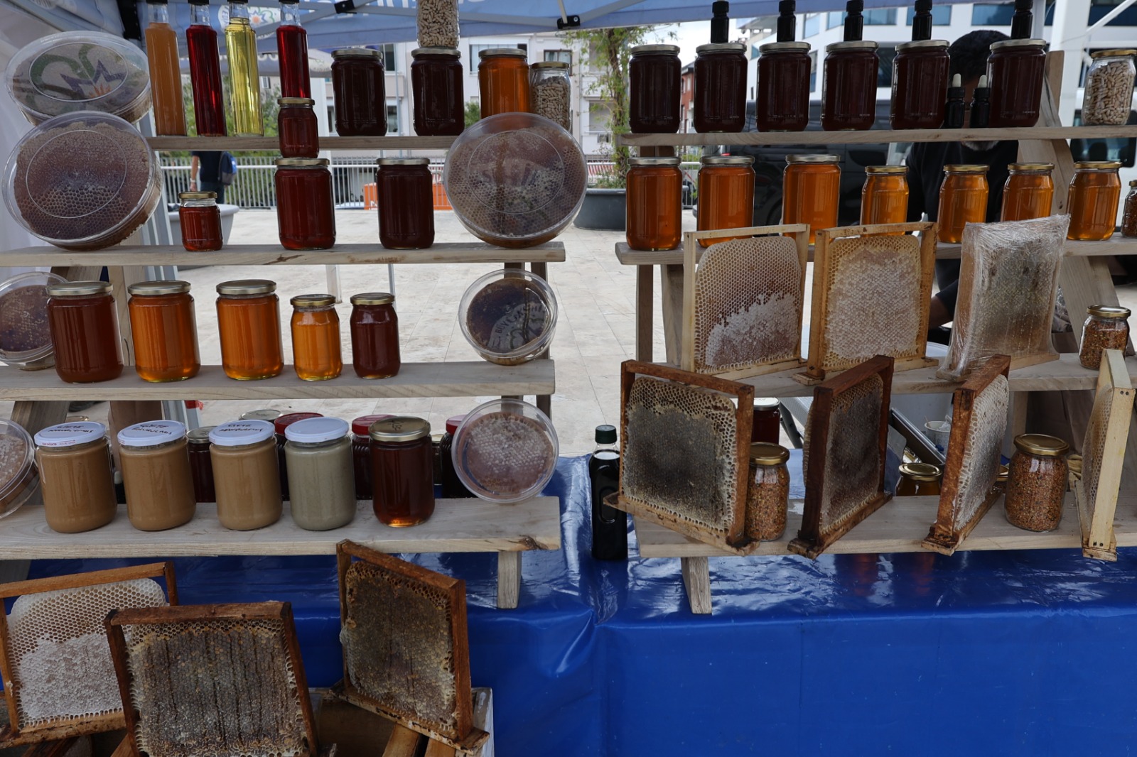 Muğla’da Bal Gibi Festival Çam Balı Hasadı Coşkuyla Kutlandı