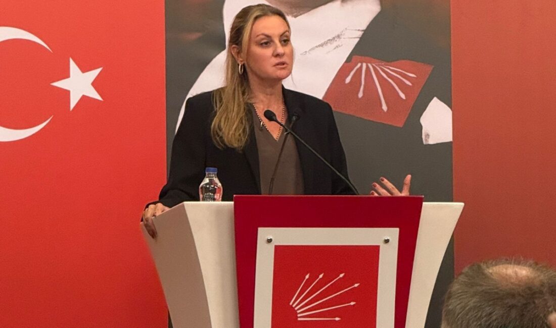 CHP İzmir Milletvekili Seda Kâya Ösen, Türkiye'nin nadir toprak elementleri