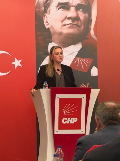 CHP İzmir Milletvekili Seda Kâya Ösen, Türkiye'nin nadir toprak elementleri