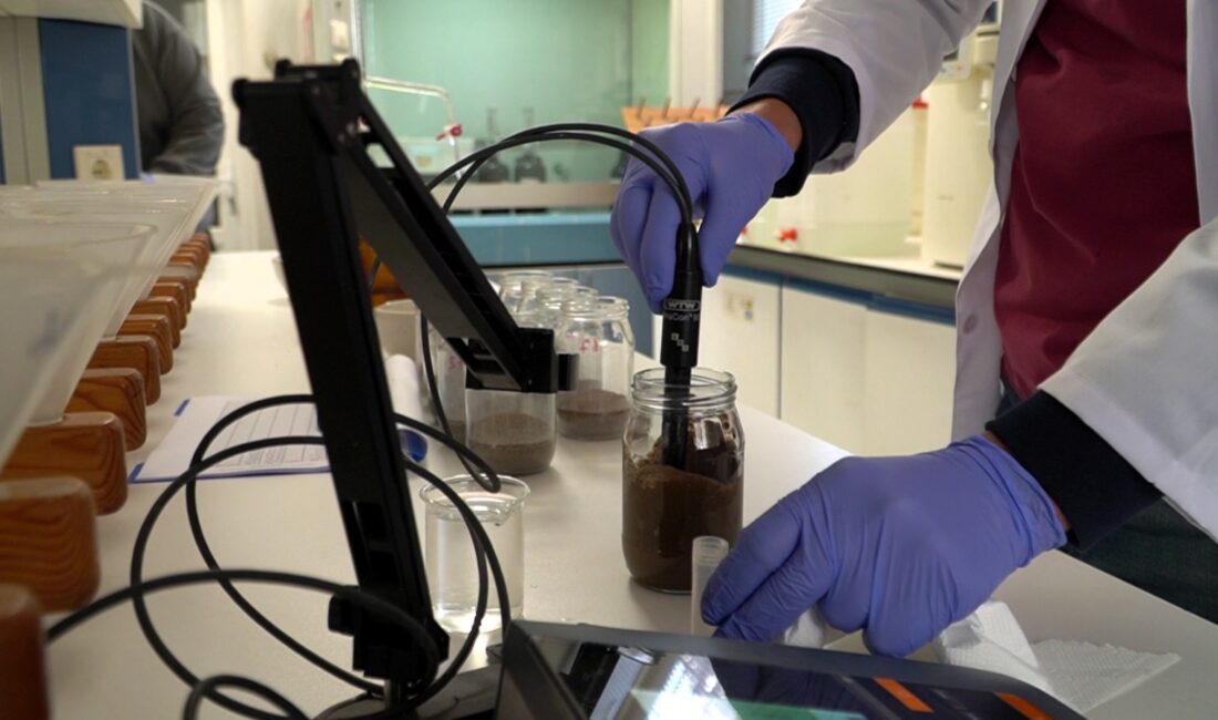 İzmir Büyükşehir Belediyesi, üreticilerin gelirini artıran ve doğayı koruyan toprak