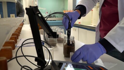 İzmir Büyükşehir Belediyesi, üreticilerin gelirini artıran ve doğayı koruyan toprak