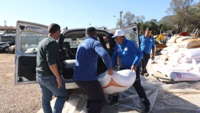 Muğla Büyükşehir Belediyesi, 13 ilçede 1.500 üreticiye toplam 330 ton