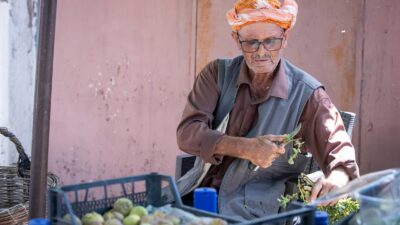 İzmir Büyükşehir Belediyesi, incirde kalite kaybını önlemek ve katma değeri