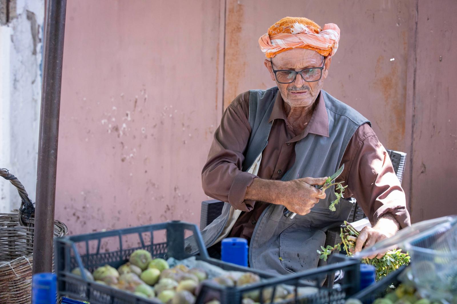 İzmir Büyükşehir Belediyesi, incirde kalite kaybını önlemek ve katma değeri
